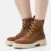 Geox Iridea - Veterboots - Brown