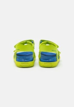 Geox J Sandal Fommiex Unisex - Sandalen - Lime/Royal -Geox 442a4fecf3f94284956d1edebd89fbeb