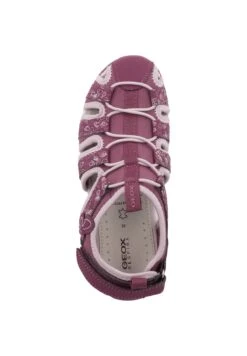 Geox Whinberry- Outdoorsandalen - Dark Raspberry/Pink -Geox 62760c4a8fc4480da1ca14618939ca55
