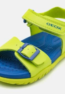Geox J Sandal Fommiex Unisex - Sandalen - Lime/Royal -Geox 8363d80f203b4f3a9913b95846e44bca