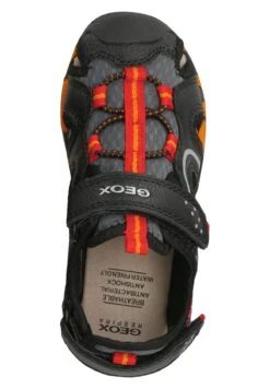 Geox Borealis- Outdoorsandalen - Schwarz -Geox b83122cf7c554fa2a071163d7de83e77