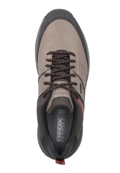 Geox Terrestre- Sneakers Laag - Beige -Geox c0f0040af7dd451ea9b5f96cfbea713d