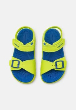 Geox J Sandal Fommiex Unisex - Sandalen - Lime/Royal -Geox cdc40559fc1840118dc85a4cf9a80f19